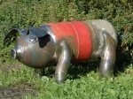Das Schwein